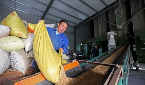 糧食收購站短信宣傳案例 糧食收購站短信宣傳案例