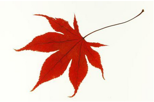 短信群發(fā)平臺(tái)安全嗎